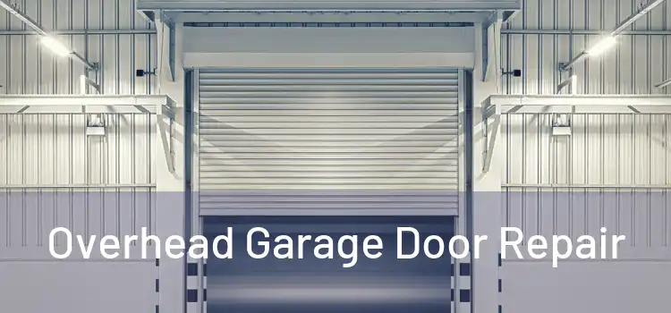  Overhead Garage Door Repair 